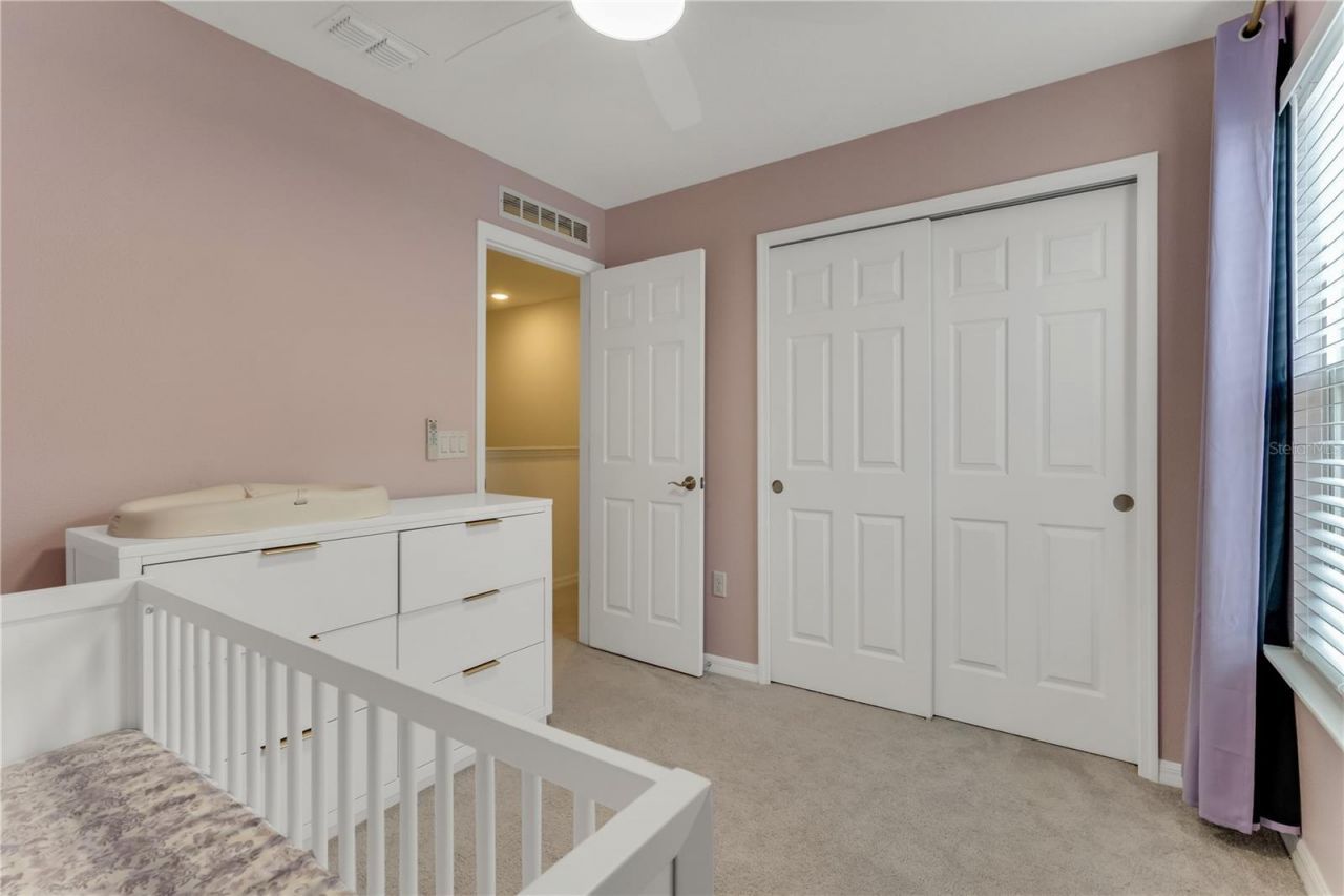 3205 Amaranth Street, Tavares, FL 32778 Photo