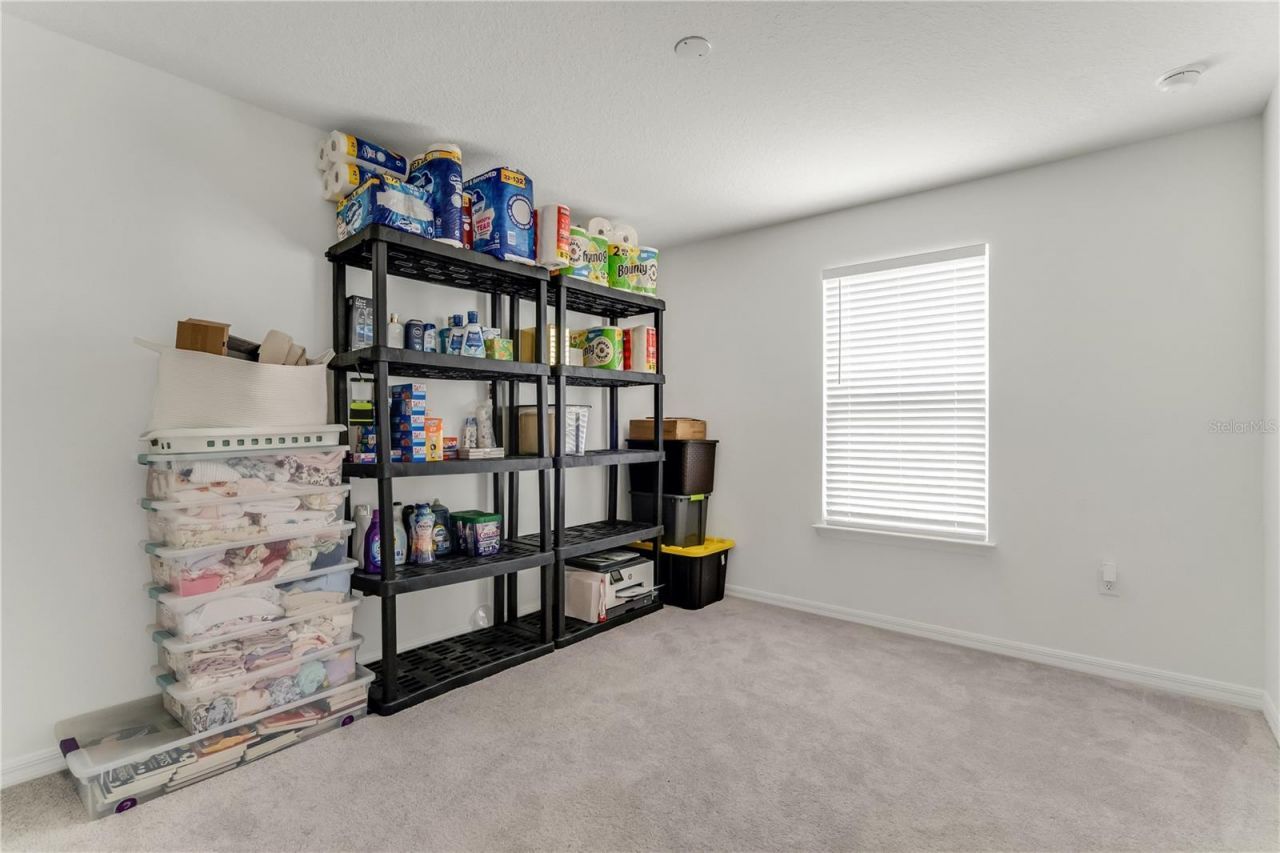 3205 Amaranth Street, Tavares, FL 32778 Photo