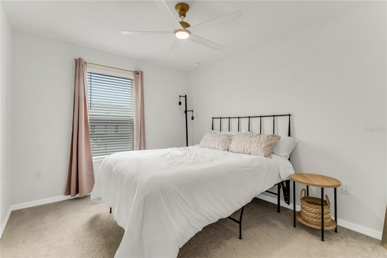 3205 Amaranth Street, Tavares, FL 32778 Photo