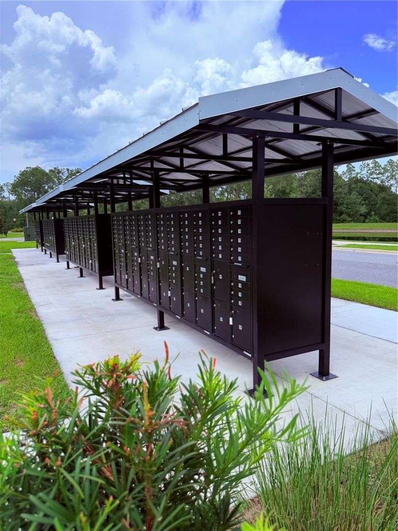 16420 Winding Preserve Circle, Clermont, FL 34714 Photo