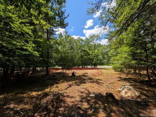 Ballard Road , Bethel, NY 12720