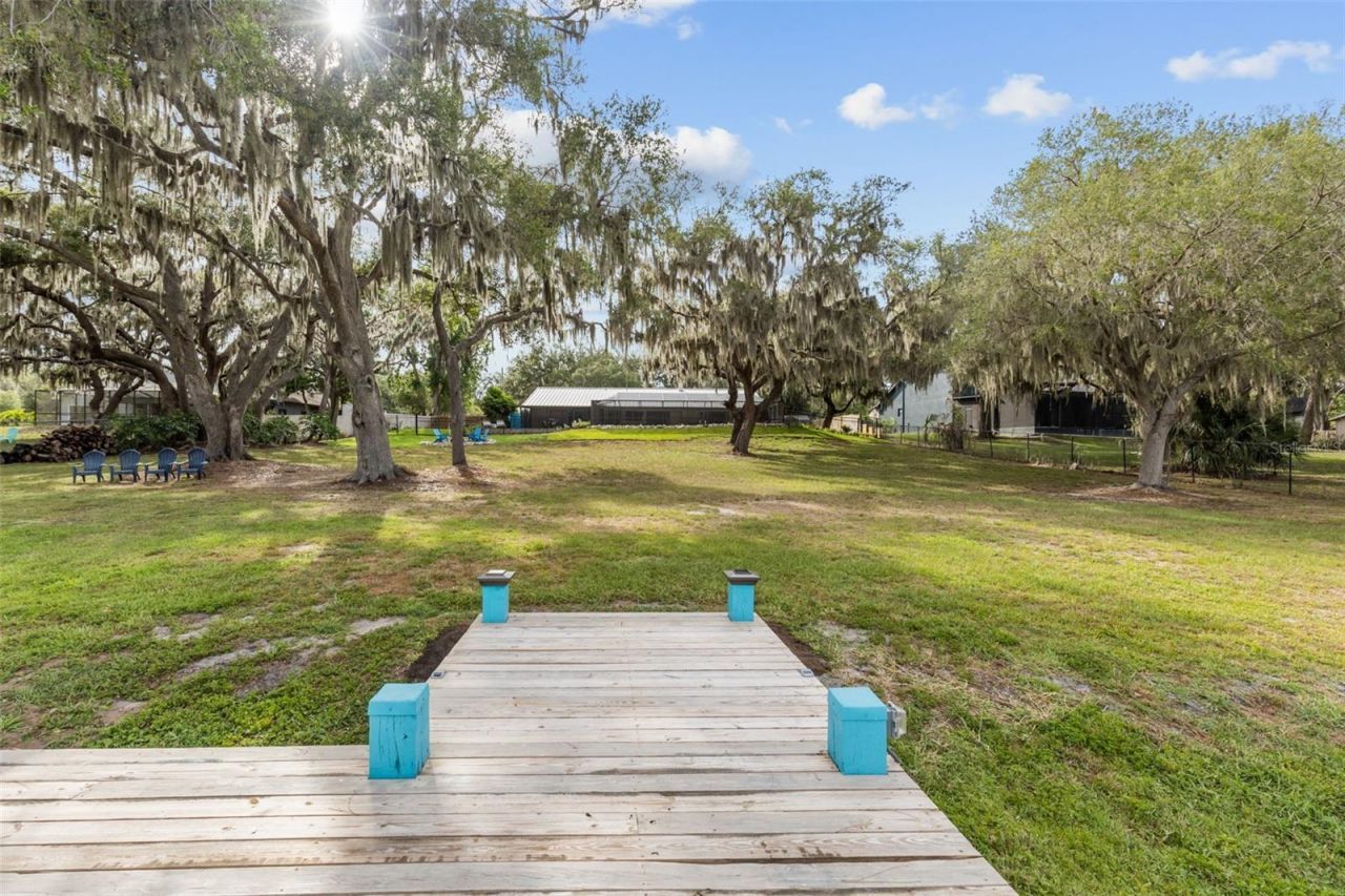11310 Donneymoor Drive, Riverview, FL 33569 Photo