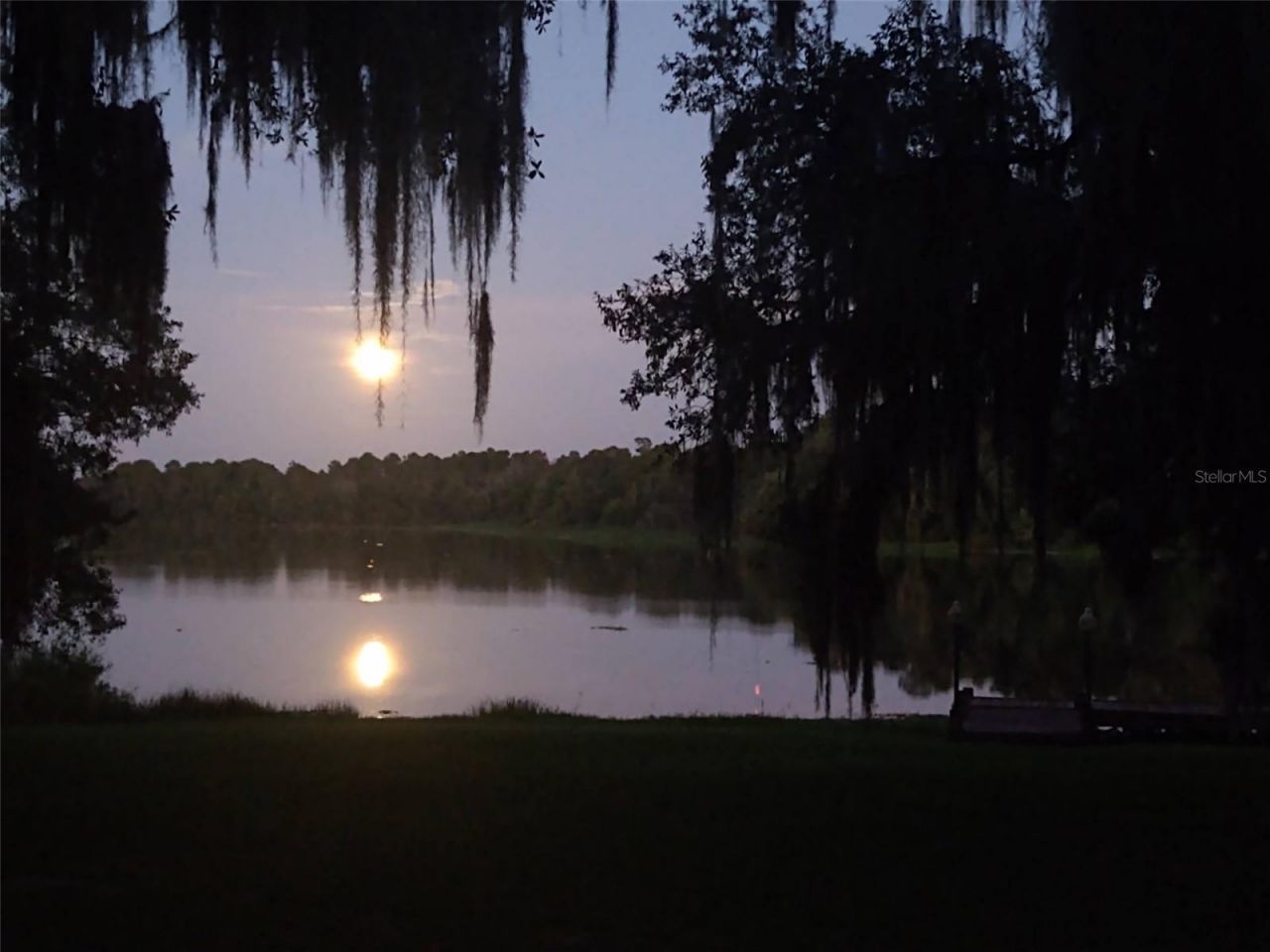 11310 Donneymoor Drive, Riverview, FL 33569 Photo