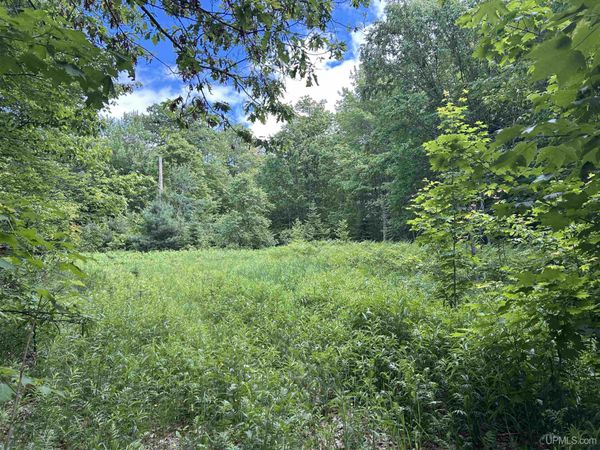 TBD N Carlshend Road, Skandia Twp, MI 49885