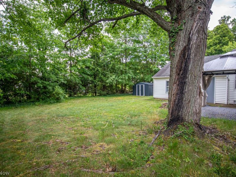 1107 Brandon Road Road, Cleveland, OH 44112 Photo 25