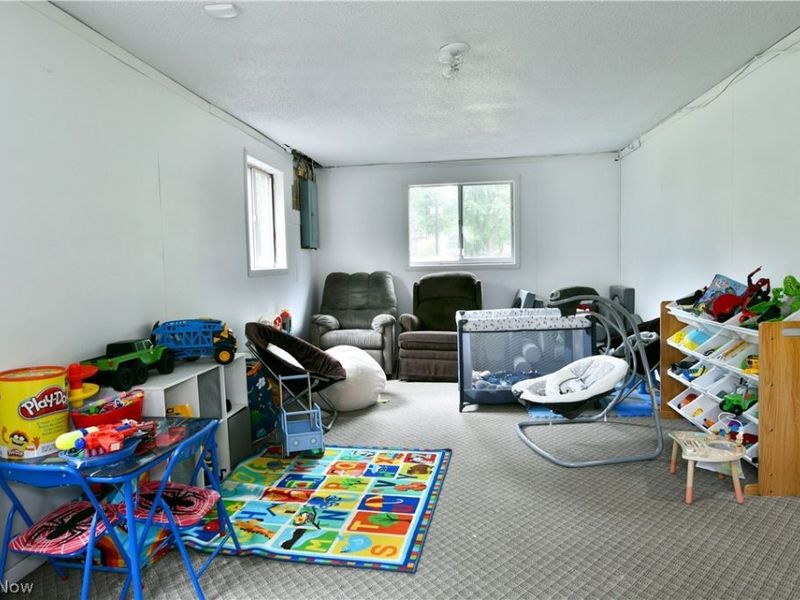 972 Wilson Sharpsville Road, Cortland, OH 44410 Photo 47