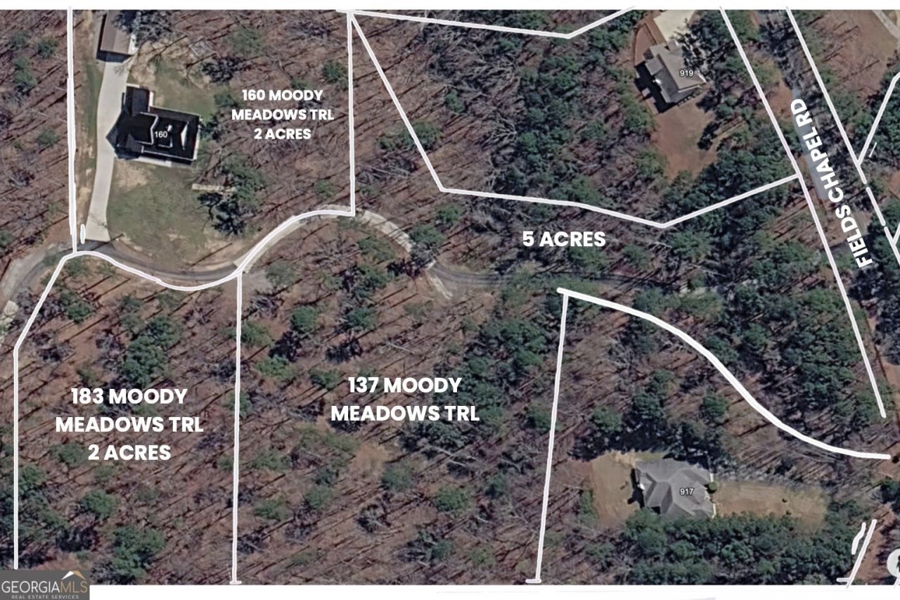 183 Moody Meadows Trail, Canton, GA 30114 Main Photo