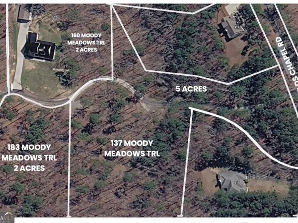 183 Moody Meadows Trail, Canton, GA 30114