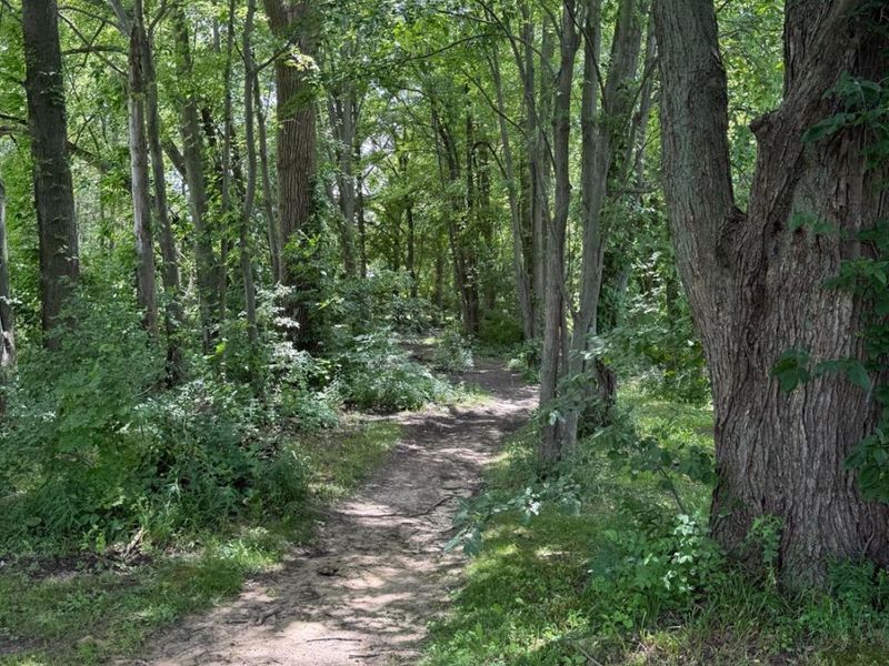 435 STATE ROUTE 61, Norwalk, OH 44857 Photo 8