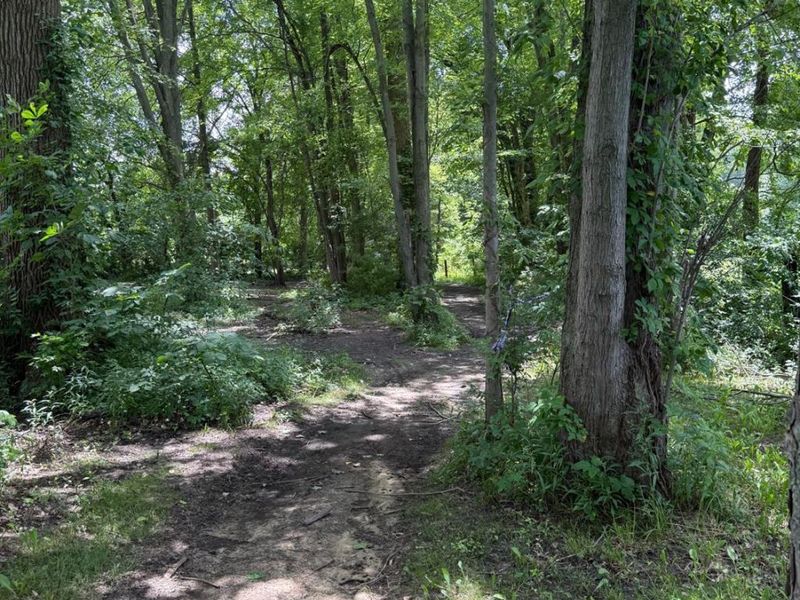 435 STATE ROUTE 61, Norwalk, OH 44857 Photo 9