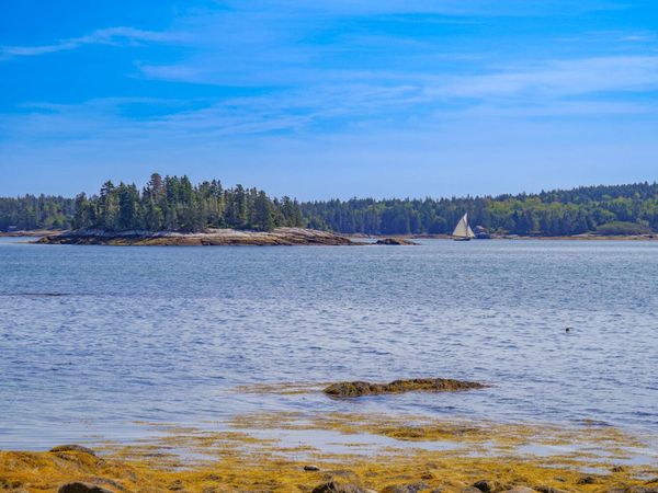 423 Martin Point Road , Friendship, ME 04547