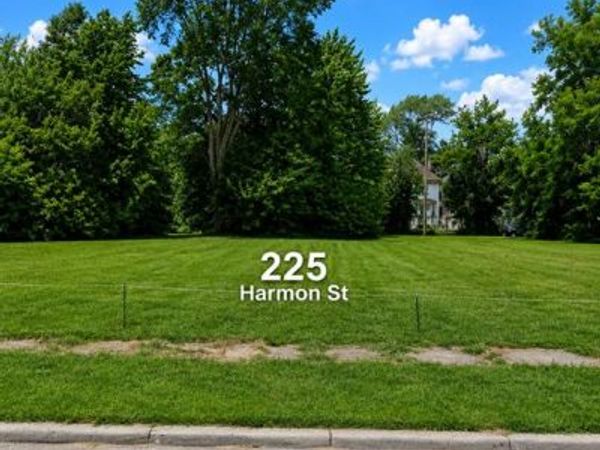 225 Harmon Street , Detroit, MI 48202