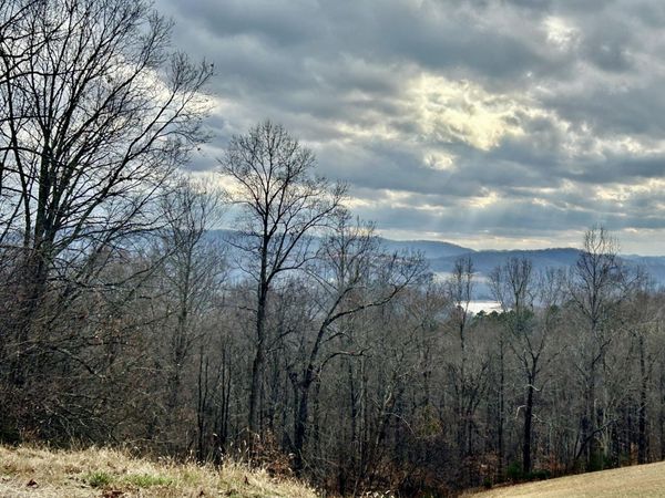 0 Topaz Lane , New Tazewell, TN 37825