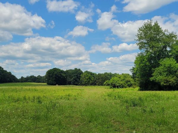 1 Clem Creek Rd , Chapel Hill, TN 37034