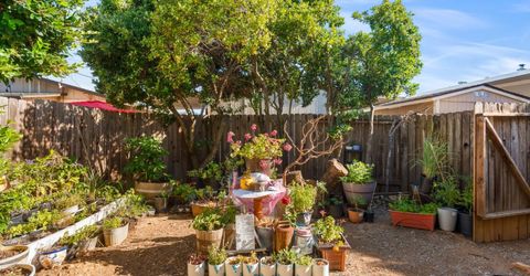 1130 White Rock Rd #6, El Dorado Hills, CA 95762 Photo