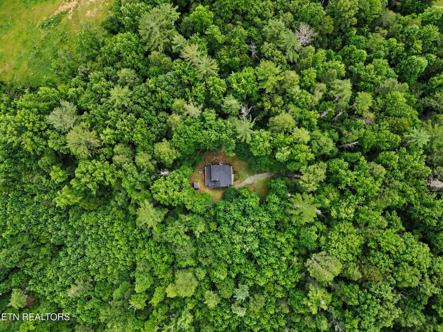 Property Image 43