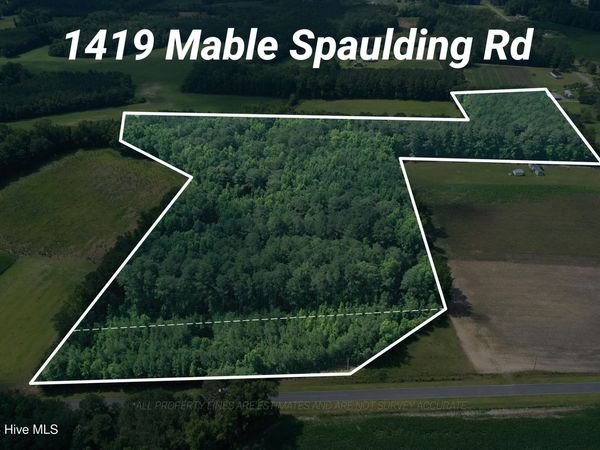 1419 Mable Spaulding Road , Whiteville, NC 28472