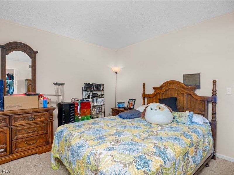 820 Lincoln Street, Amherst, OH 44001 Photo 21
