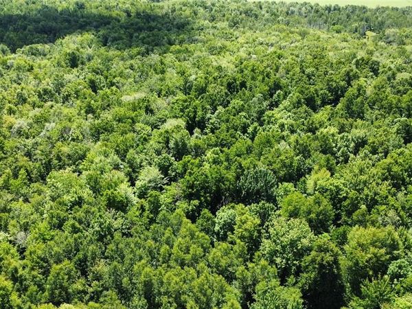 OOO SNOWSHOE RD., Wausau, WI 54403