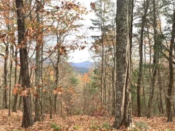 Lot 17 Abbott Mill , Ellijay, GA 30540