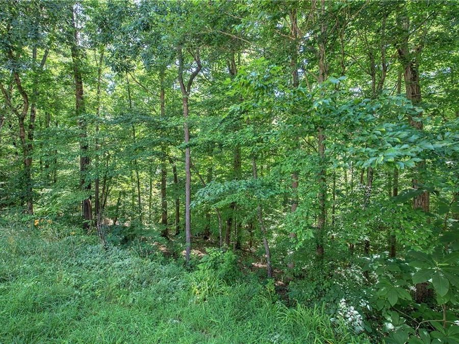 Property Image 70