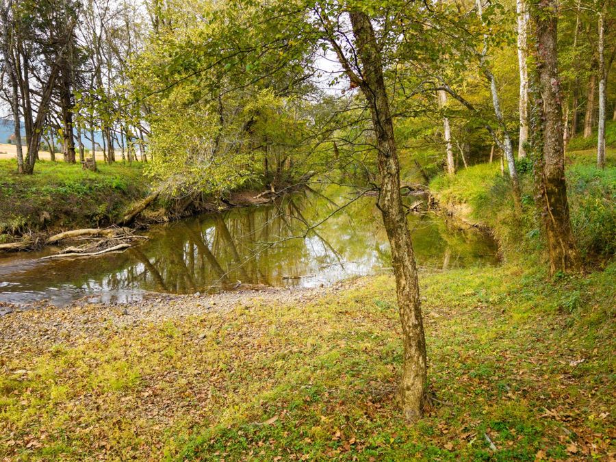 Property Image 124