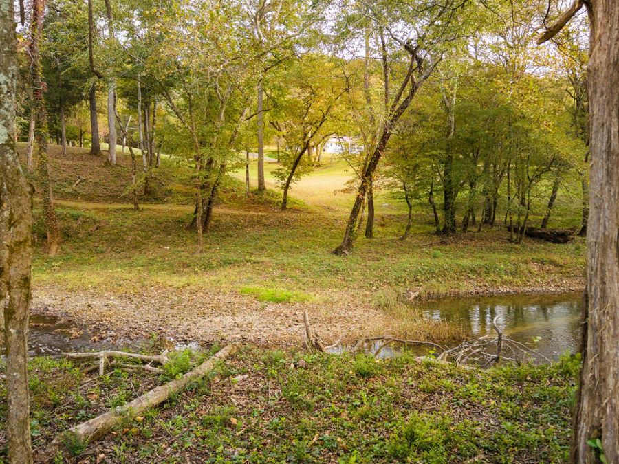 Property Image 125