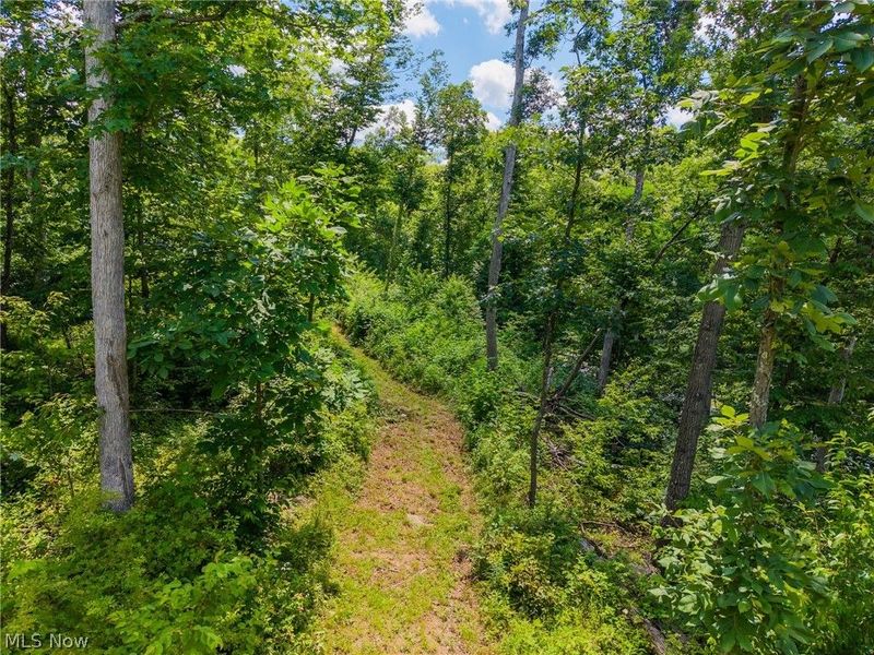 13648 Freedom Road, Kimbolton, OH 43749 Photo 39