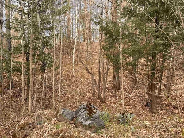3b reservoir Road, Berkshire, VT 05450