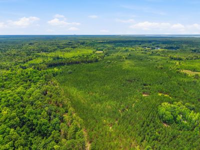 1530 Catfish Lane, Manning, SC 29102