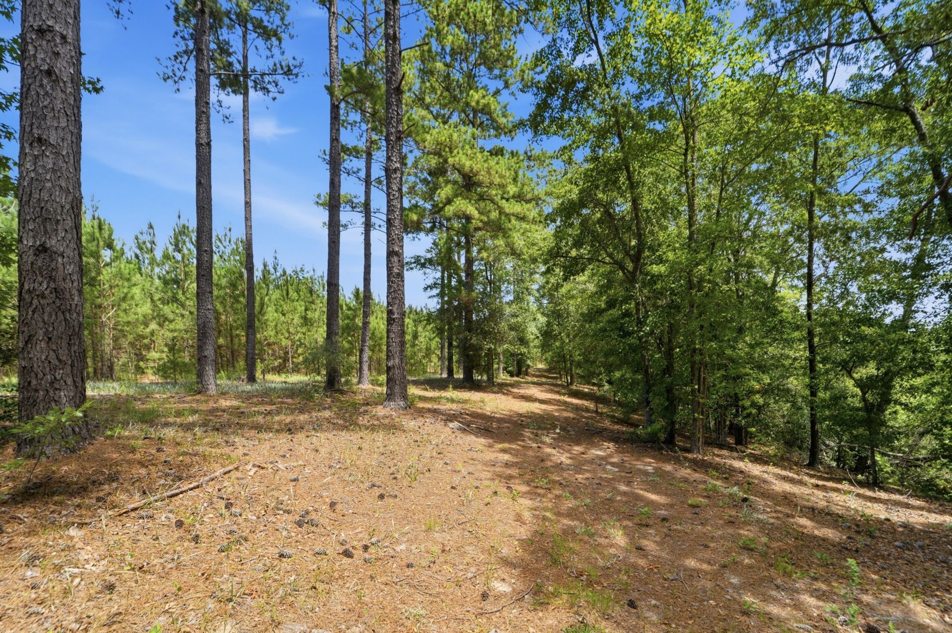 1530 Catfish Lane Photo 23