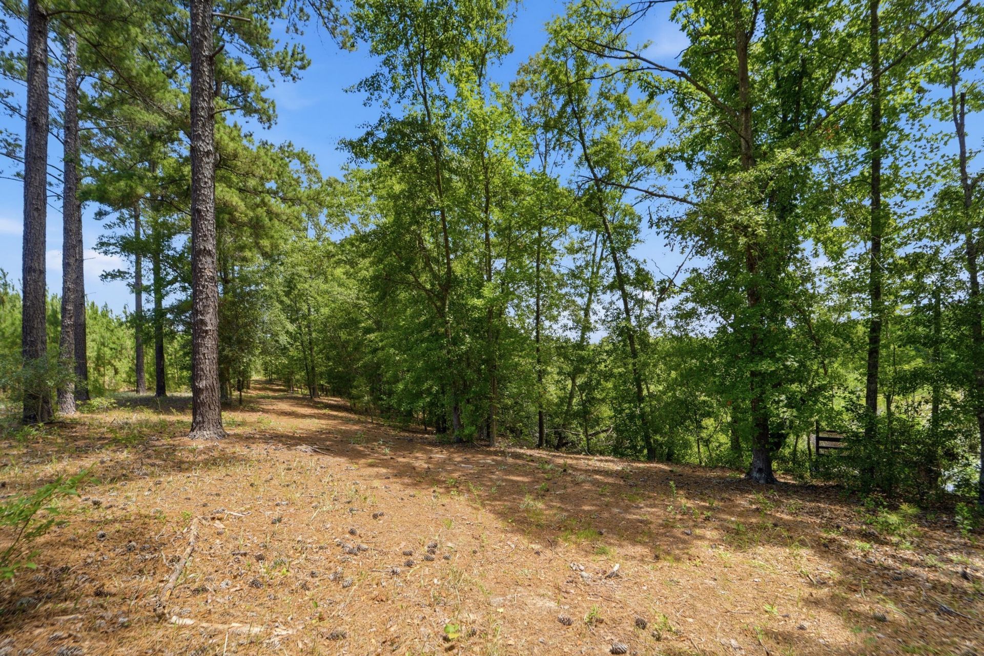 1530 Catfish Lane Photo 25