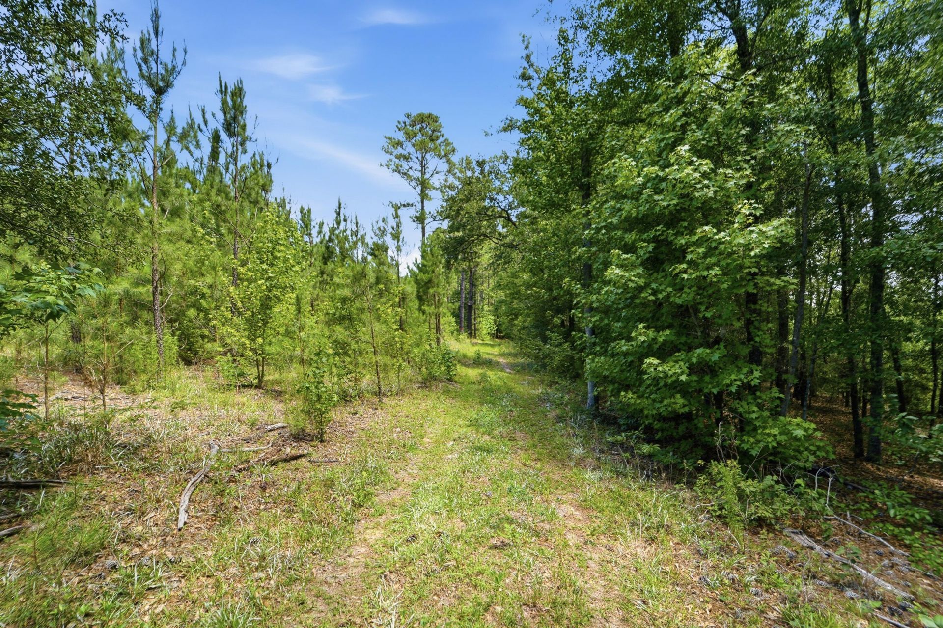 1530 Catfish Lane Photo 27