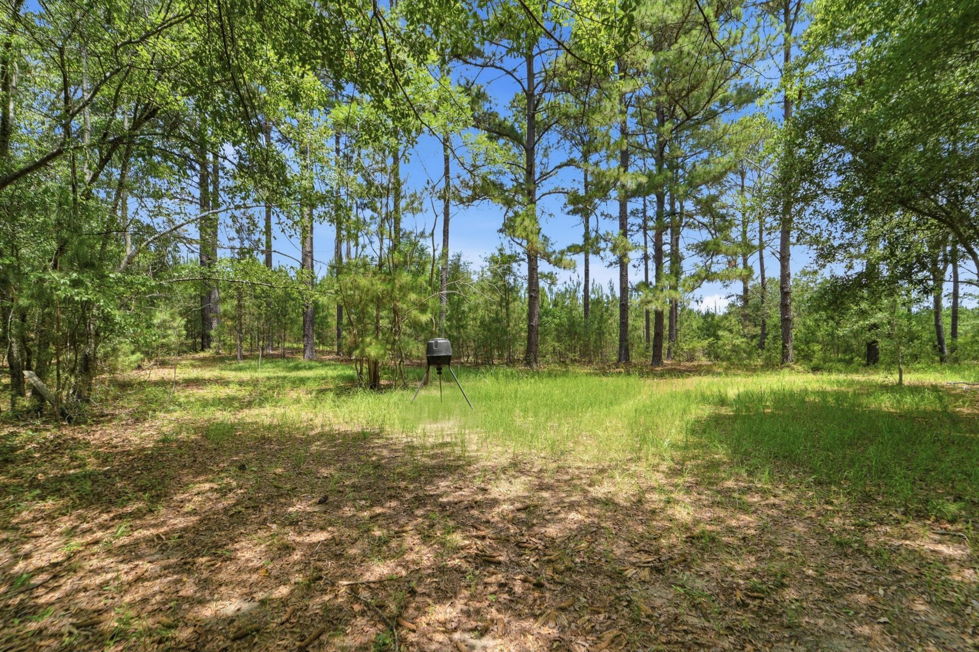 1530 Catfish Lane Photo 29