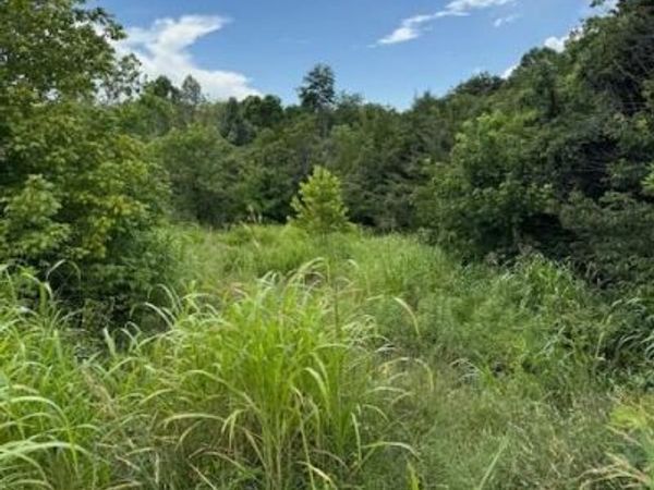 0 Moneta RD , Bedford, VA 24523