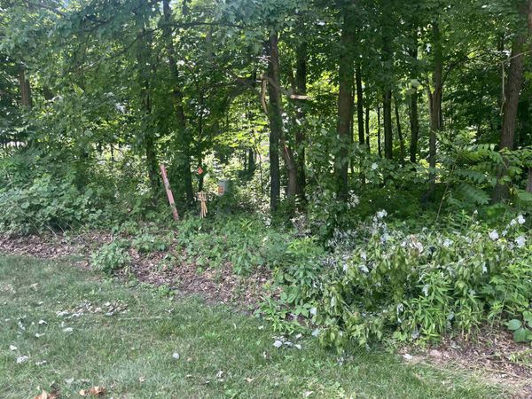Lots 10 & 11 Oak Hill Estate East Street, Mauston, WI 53948