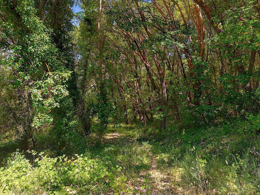 Property Image 45