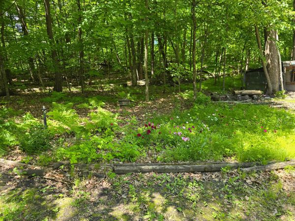 TBD 280th Avenue, Detroit Lakes, MN 56501