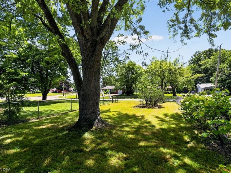 4429 Burkey Road, Austintown, OH 44515 Photo 5