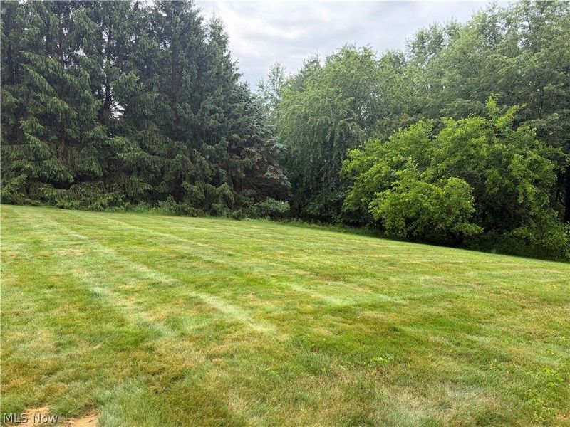 9399 Stump Road, Minerva, OH 44657 Photo 17