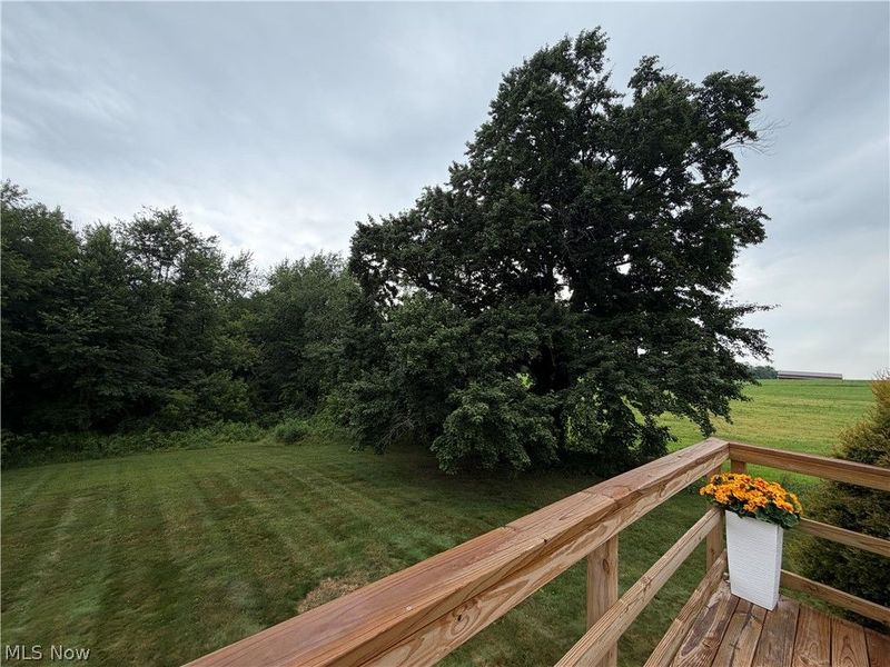 9399 Stump Road, Minerva, OH 44657 Photo 5
