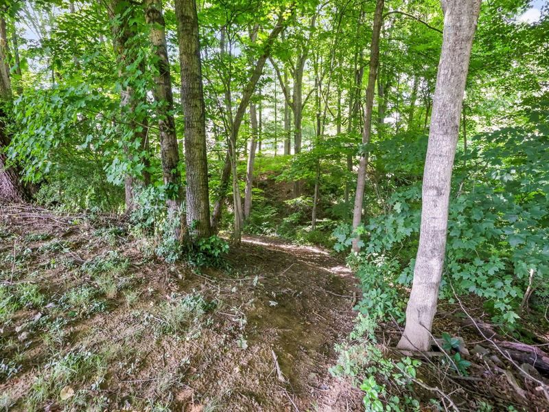 27188 Stuart Road, Rockbridge, OH 43149 Photo 42