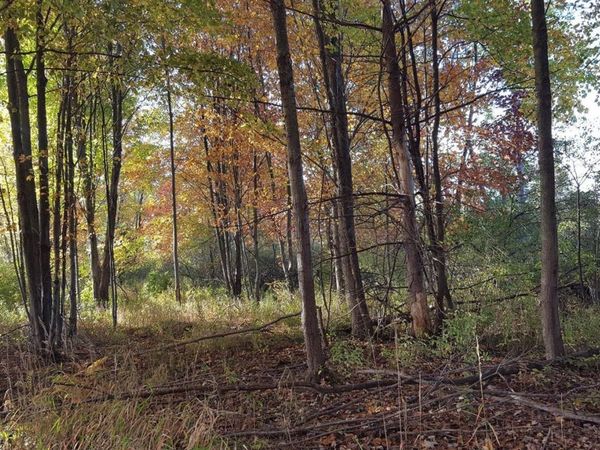 788 Greystone Drive, Unit 8, Chelsea, MI 48118