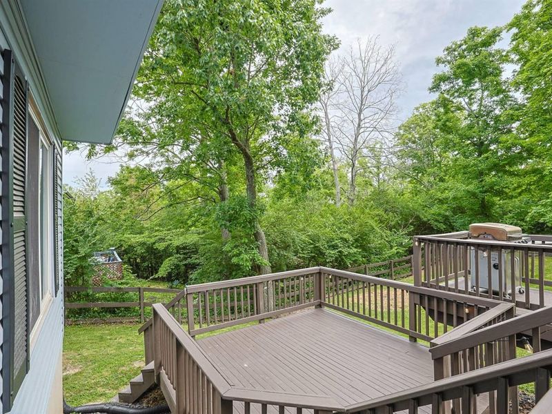 6796 Hillock Court, Florence, KY 41042 Photo 48