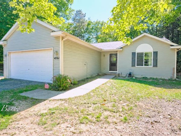 4561 N Pine Avenue, Mears, MI 49436