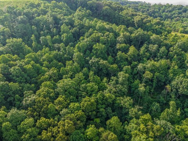 Lot 2 Graves Hollow Rd, Maynardville, TN 37807