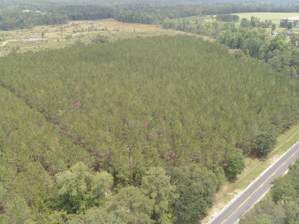 0 Hendrix Bridge Road, Claxton, GA 30417