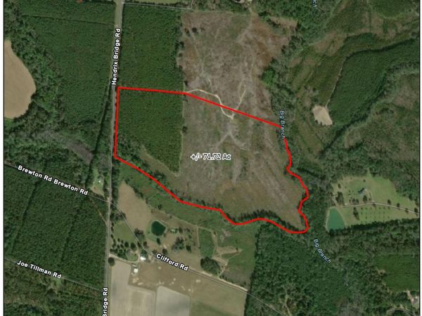 0 Hendrix Bridge Road, Claxton, GA 30417