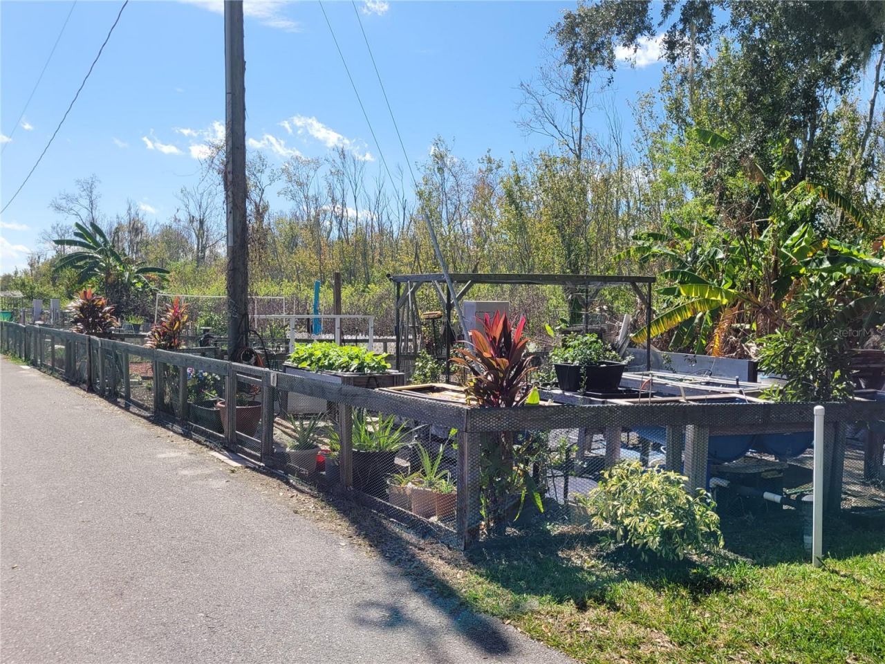 245 Ramsgate Way , Haines City, FL 33844 Photo