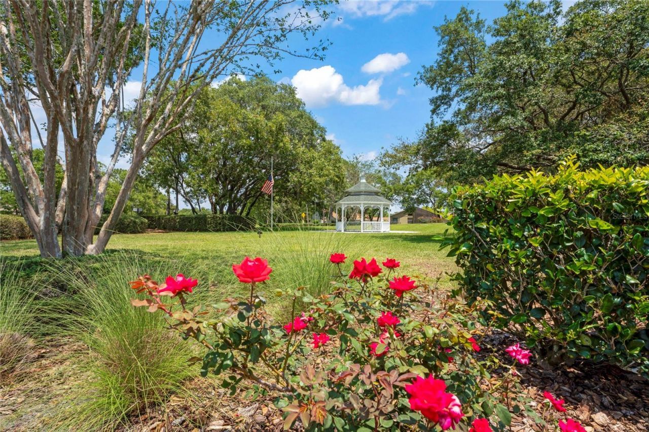 11261 Mcracken Drive , Spring Hill, FL 34609 Photo